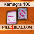 Kamagra 100 32